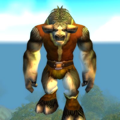 Pao'ka Swiftmountain