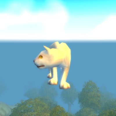 White Kitten