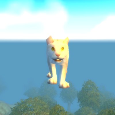 Winna's Kitten